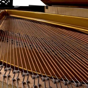Quarto appuntamento: il Pianoforte Quarto appuntamento: il Pianoforte