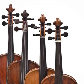 Il quartetto d'archi Il quartetto d'archi